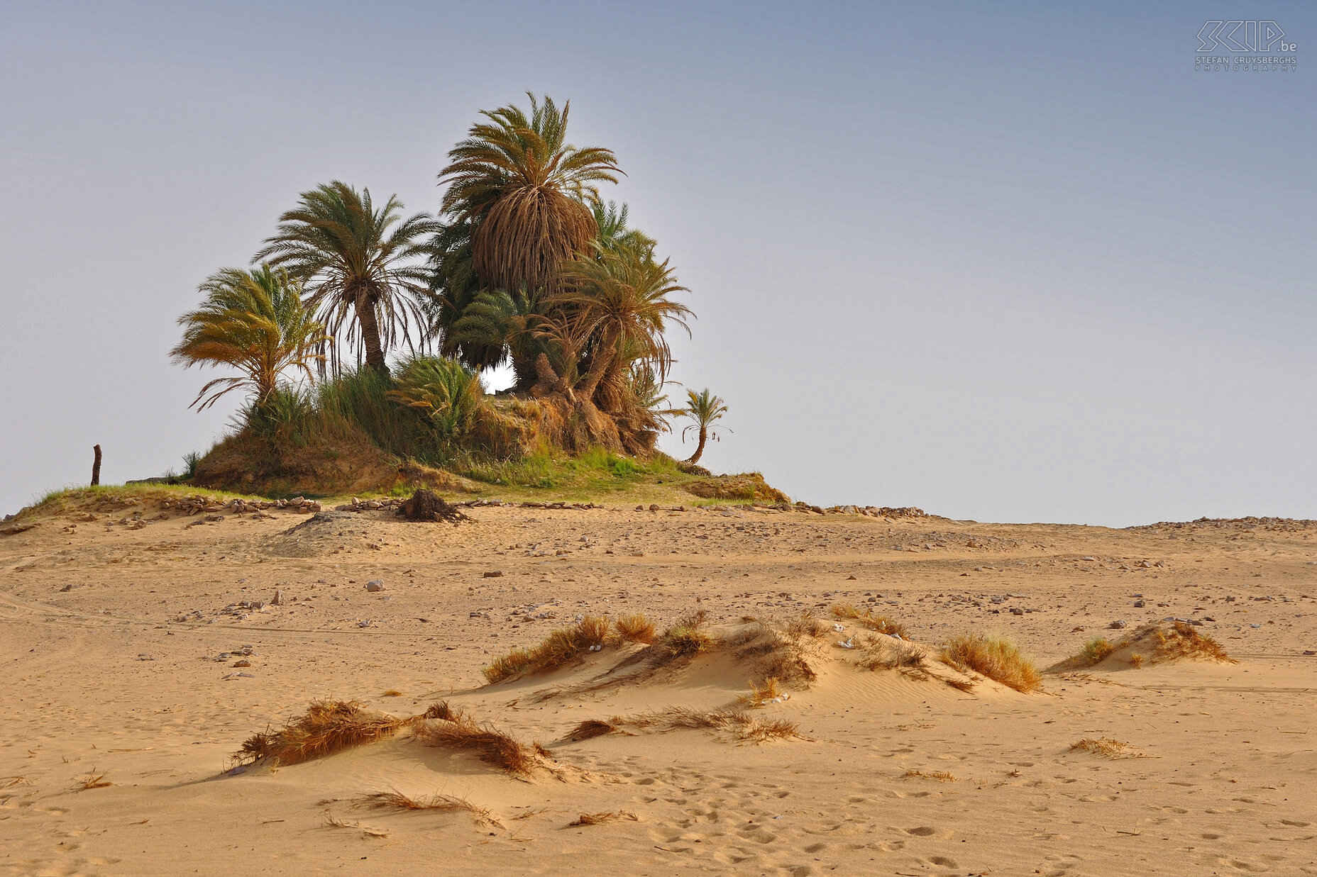 Ain el-Serw The small Ain el-Serw oasis, also called Ain Serwal, Ain Abu Hawas or Magic Spring, consists of just a little hill with a delightful water source and a few palm trees. Stefan Cruysberghs